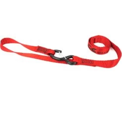 Acebikes Ratchet Premium 2-Pack Motorrad-Sicherung Spanngurte 750 DaN -Motorradbekleidungsgeschäft 2025 ratchet premium 7